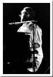 The Beach Boys - photo 24