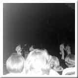 The Beach Boys - photo 4
